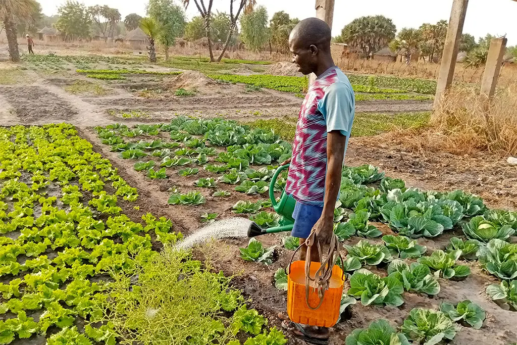 Agence d'exécution des projets des jeunes au tchad